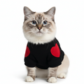 Cat wearing a black outfit with red hearts on a white background