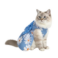 Cat wearing a blue floral dress on a white background