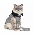 Cat wearing a gray coat with a leash on a white background