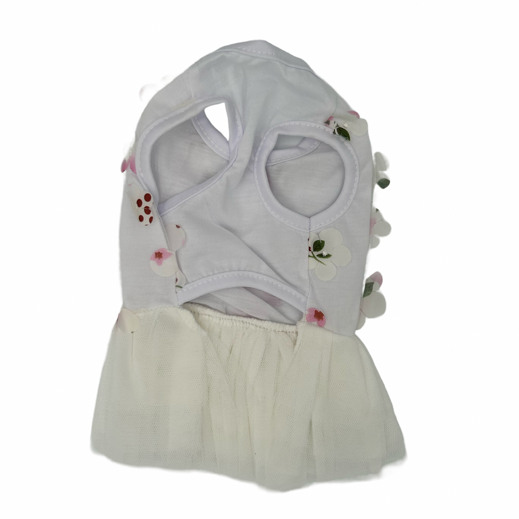 White cat dress on a white background