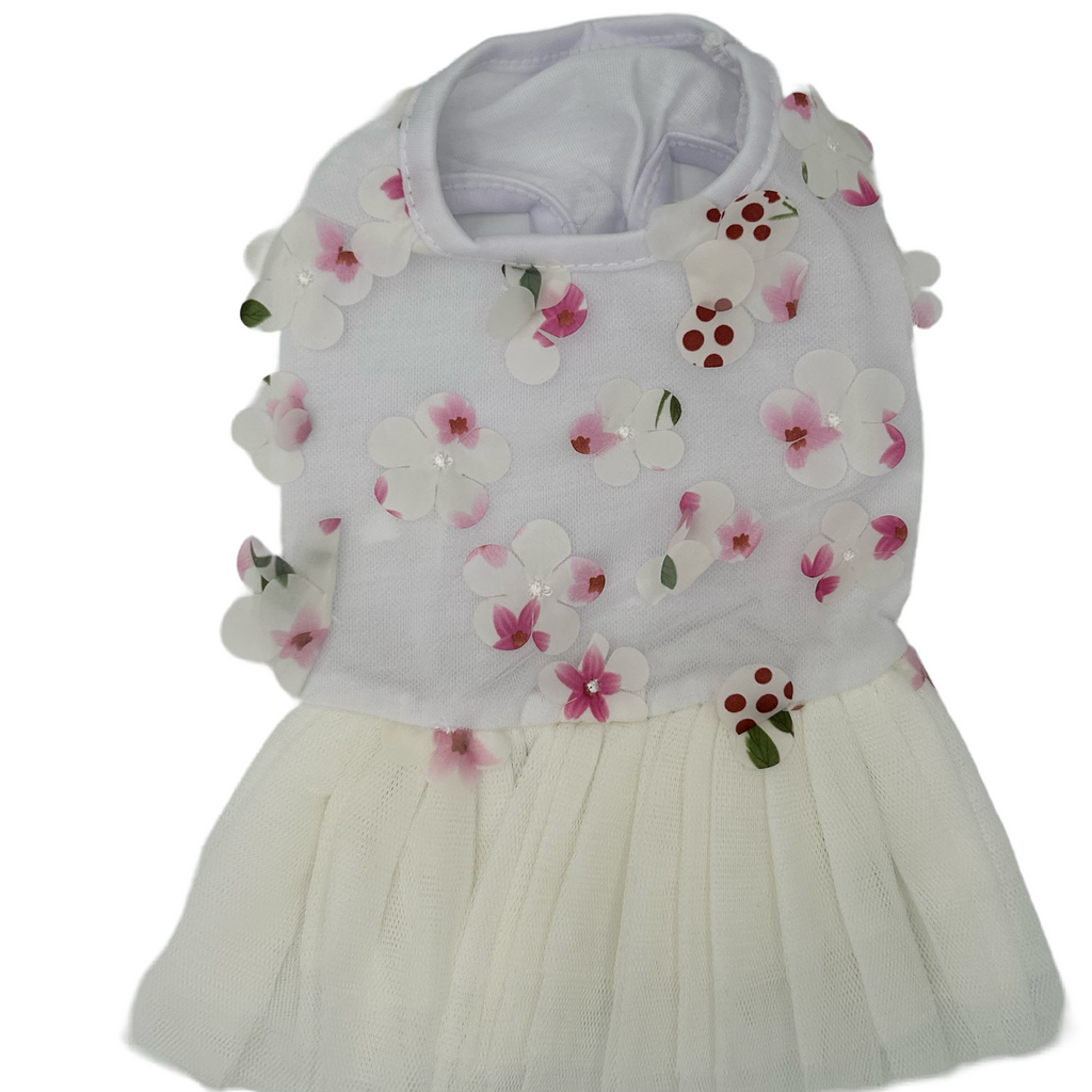 cat dress with floral pattern on a white background