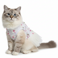 Cat wearing a floral dress on a white background