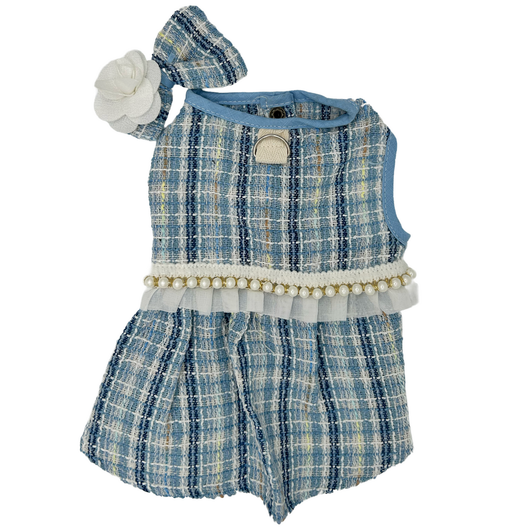 Blue plaid cat outfit with matching hat on a white background
