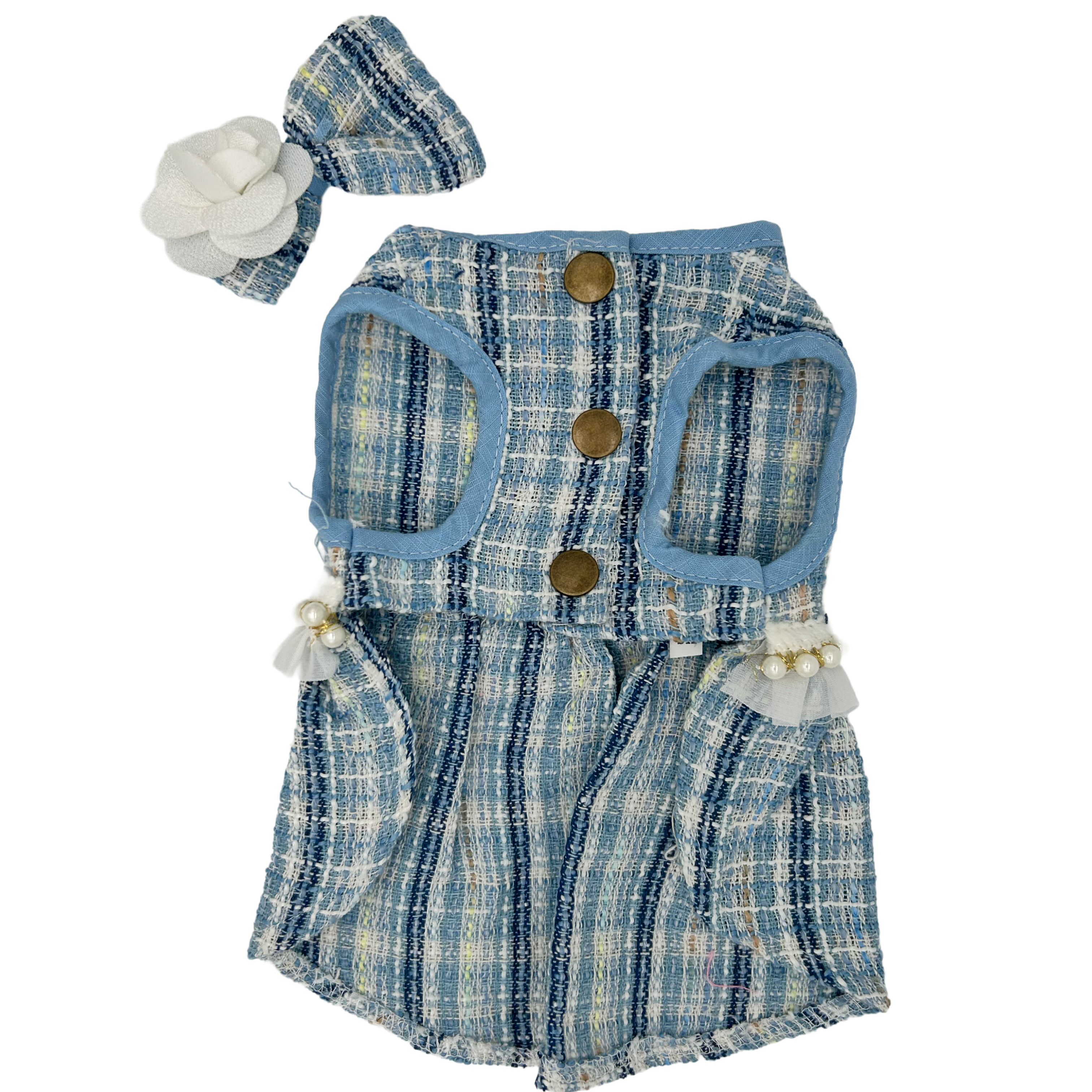 Blue plaid  cat dress with matching hat on a white background