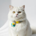 cat collar with colorful beads on a white background
