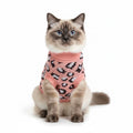 Pink cat sweater with leopard print pattern on a white background
