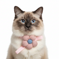 Cat wearing a pink flower-shaped collar on a white background