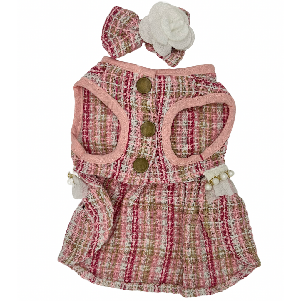 Cat dress with plaid pattern and pink accents on a white background