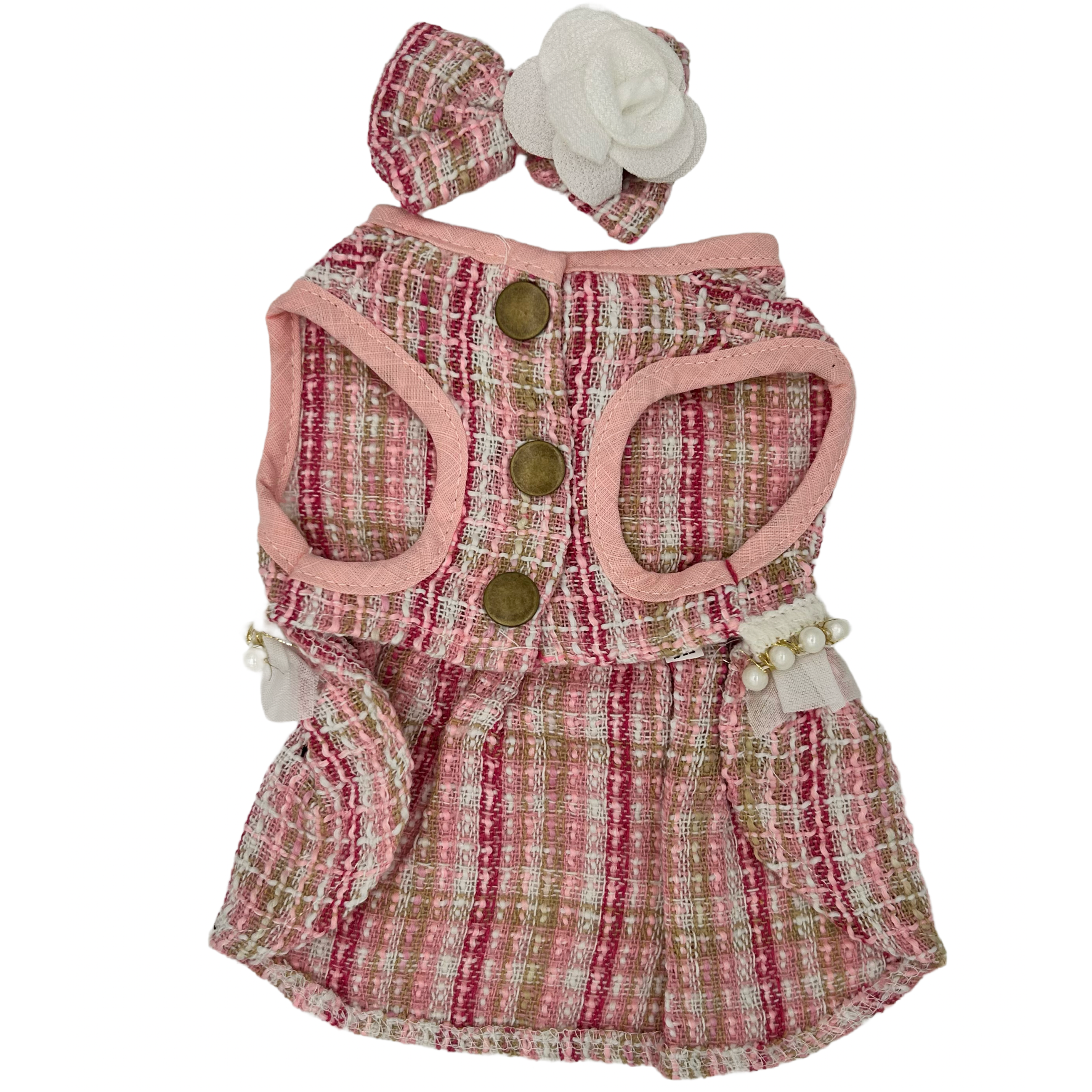 Cat dress with plaid pattern and pink accents on a white background