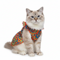 Cat wearing a colorful patterned dress on a white background