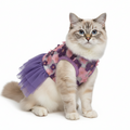 Cat wearing a purple floral dress on a white background