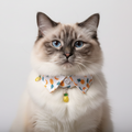 Cat wearing a colorful collar with pineapple decorations on a white background